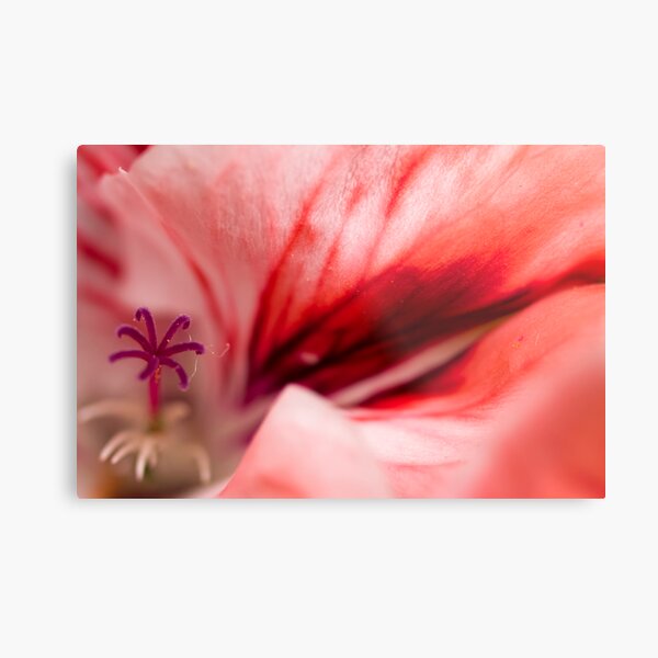 Wounded Metal Print