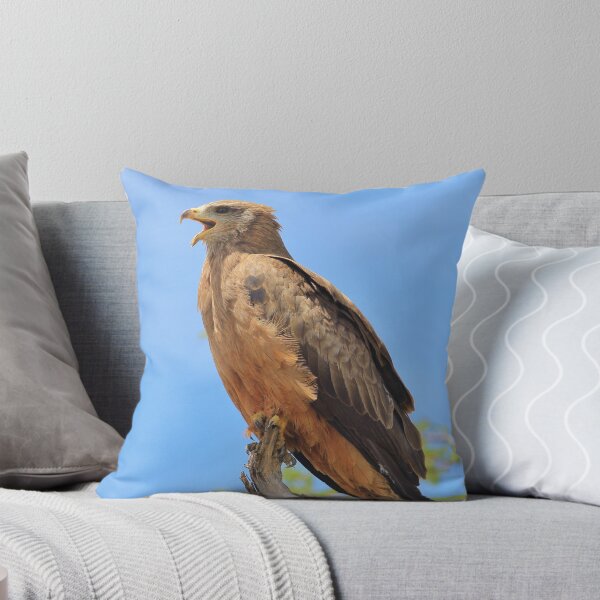 Item preview, Yellow-billed Kite - African Raptors of Power designed and sold by LivingWild.