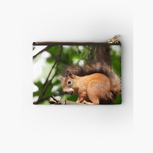 Item preview, The red squirrel (Sciurus vulgaris) designed and sold by Sintija Valucka.