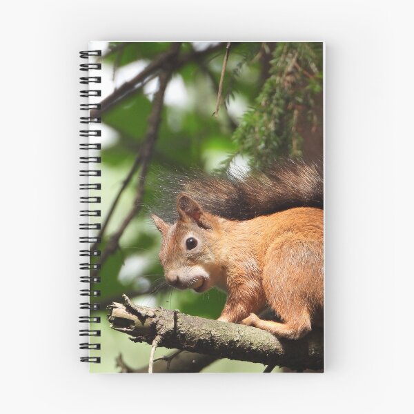 Item preview, The red squirrel (Sciurus vulgaris) designed and sold by Sintija Valucka.