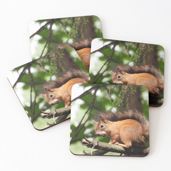 Item preview, The red squirrel (Sciurus vulgaris) designed and sold by Sintija Valucka.