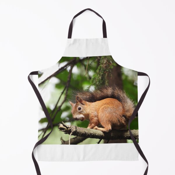 Item preview, The red squirrel (Sciurus vulgaris) designed and sold by Sintija Valucka.