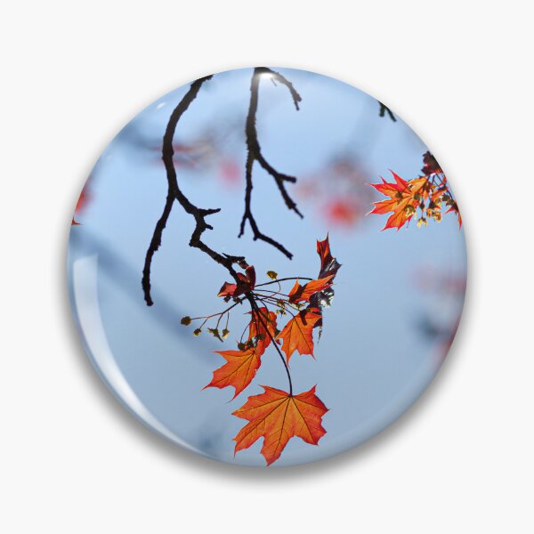 Item preview, Autumnal Leaves  clinging on to the tree, against a blue sky designed and sold by CyaniRose.