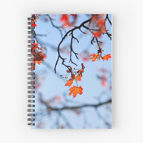 Item preview, Autumnal Leaves  clinging on to the tree, against a blue sky designed and sold by CyaniRose.