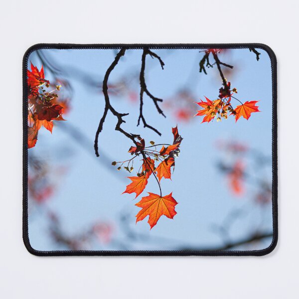 Item preview, Autumnal Leaves  clinging on to the tree, against a blue sky designed and sold by CyaniRose.
