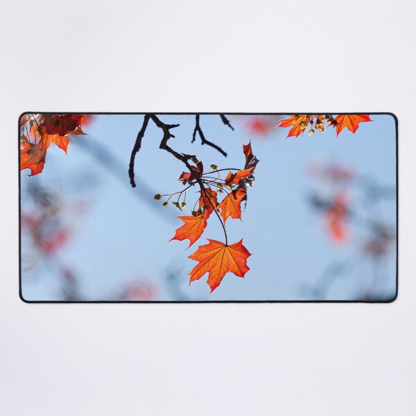 Item preview, Autumnal Leaves clinging on to the tree, against a blue sky designed and sold by CyaniRose.