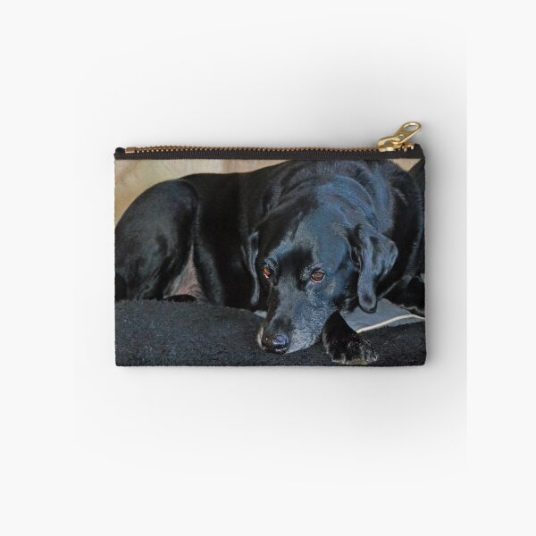 Item preview, Jake .......... designed and sold by lynn carter.
