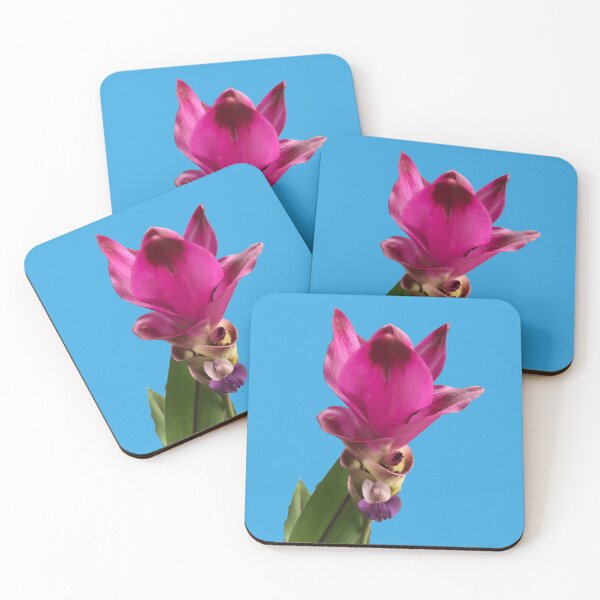 Artikelvorschau, Rosa Siam-Tulpe entworfen und verkauft von LCRobertsonArt.