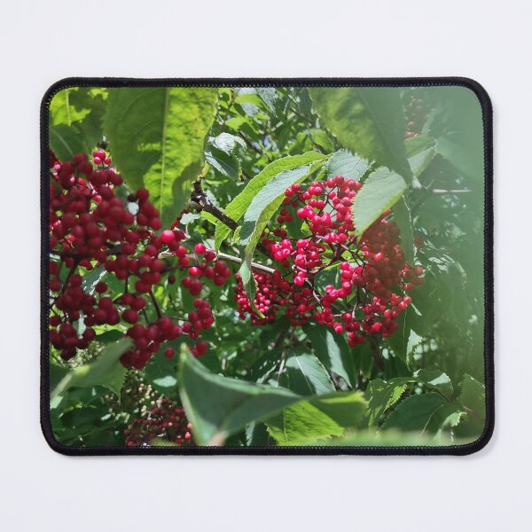 Item preview, Berry bush designed and sold by OcasionlSnkrddl.