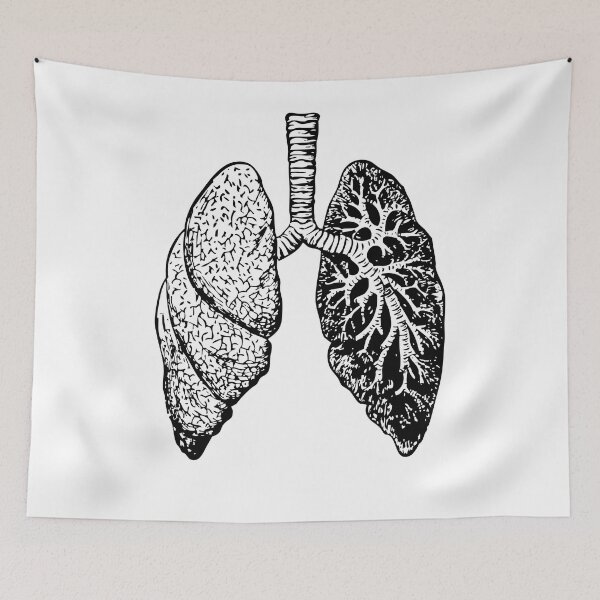 Item preview, Anatomy of the Lungs  designed and sold by Medisigne.