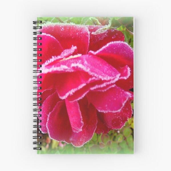 Item preview, Frosted Rose designed and sold by Charmiene Maxwell-Batten.