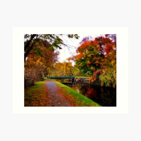 Canal Dream Art Print