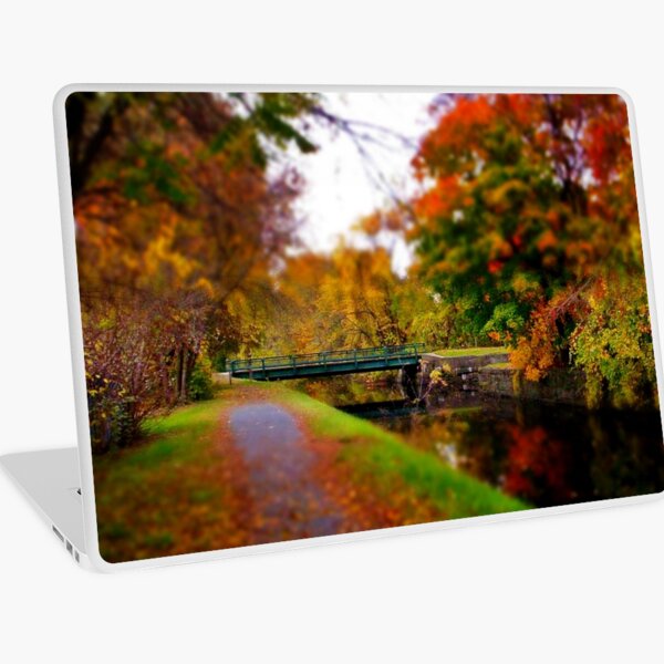 Canal Dream Laptop Skin