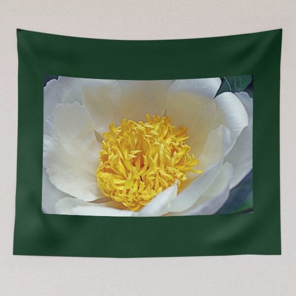 Item preview, Sunburst Peony  designed and sold by Deb Oppermann.