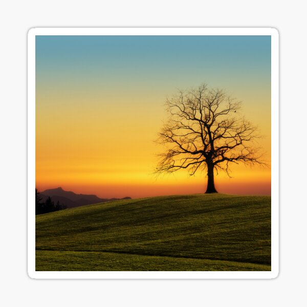 Item preview, Lone Tree In An Orange Sunset designed and sold by Taceo10.