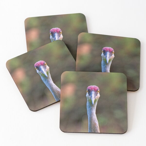 Item preview, Sandhill Crane Portrait - square designed and sold by StevenRalserPhoto.