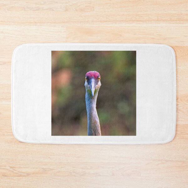 Item preview, Sandhill Crane Portrait - square designed and sold by StevenRalserPhoto.