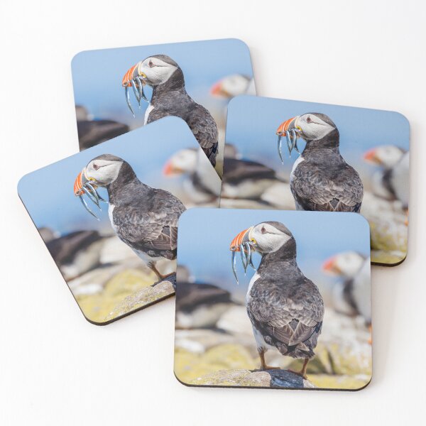 Item preview, Atlantic Puffin with Sand Eels designed and sold by Graham Prentice.