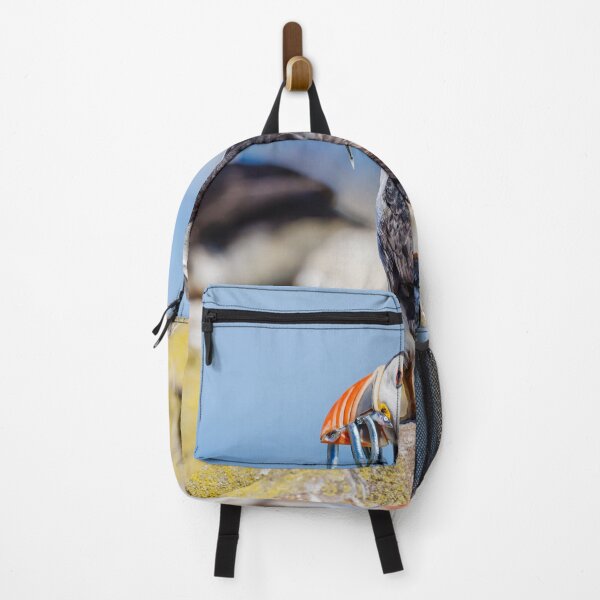 Item preview, Atlantic Puffin with Sand Eels designed and sold by Graham Prentice.