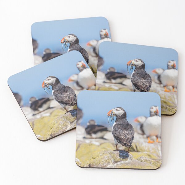 Item preview, Atlantic Puffin with Sand Eels designed and sold by Graham Prentice.
