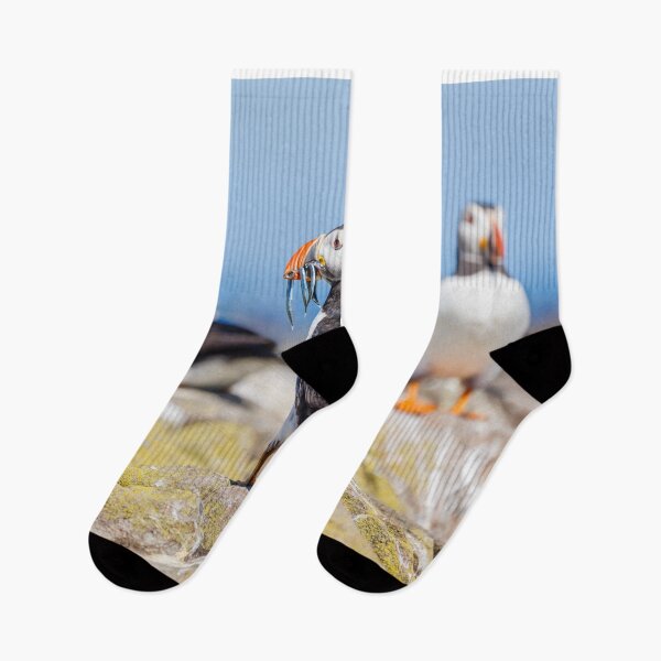 Item preview, Atlantic Puffin with Sand Eels designed and sold by Graham Prentice.