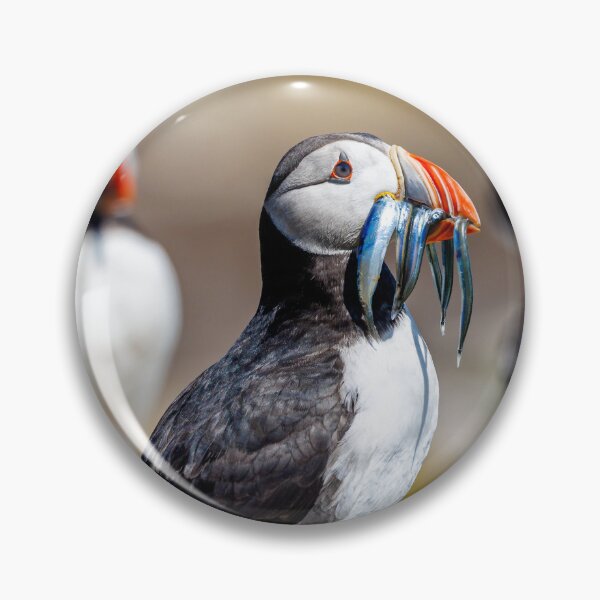 Item preview, Atlantic Puffin with Sand Eels designed and sold by Graham Prentice.