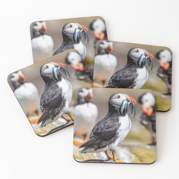 Item preview, Atlantic Puffin with Sand Eels designed and sold by Graham Prentice.