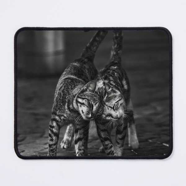 Item preview, twin cat full of love designed and sold by Juaneosborn.