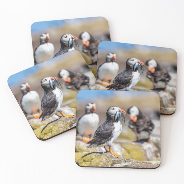 Item preview, Atlantic Puffin with Sand Eels designed and sold by Graham Prentice.