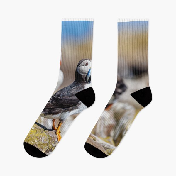 Item preview, Atlantic Puffin with Sand Eels designed and sold by Graham Prentice.