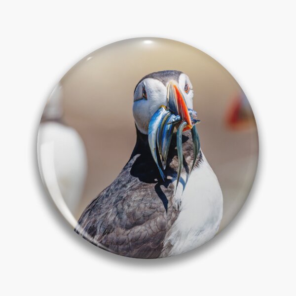 Item preview, Atlantic Puffin with Sand Eels designed and sold by Graham Prentice.