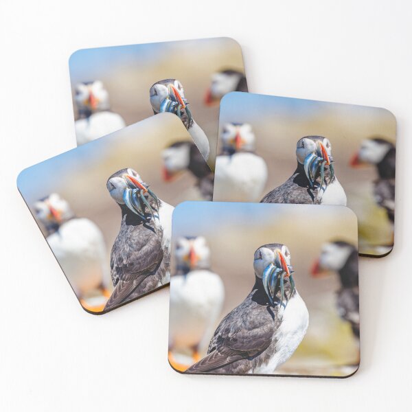 Item preview, Atlantic Puffin with Sand Eels designed and sold by Graham Prentice.