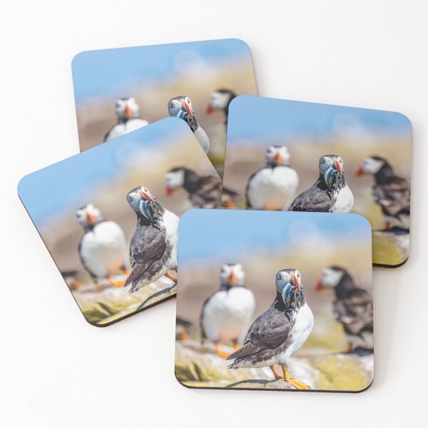 Item preview, Atlantic Puffin with Sand Eels designed and sold by Graham Prentice.