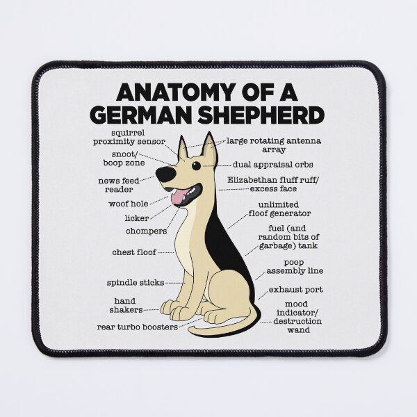 Item preview, Anatomy of a German Shepherd designed and sold by mstiv.