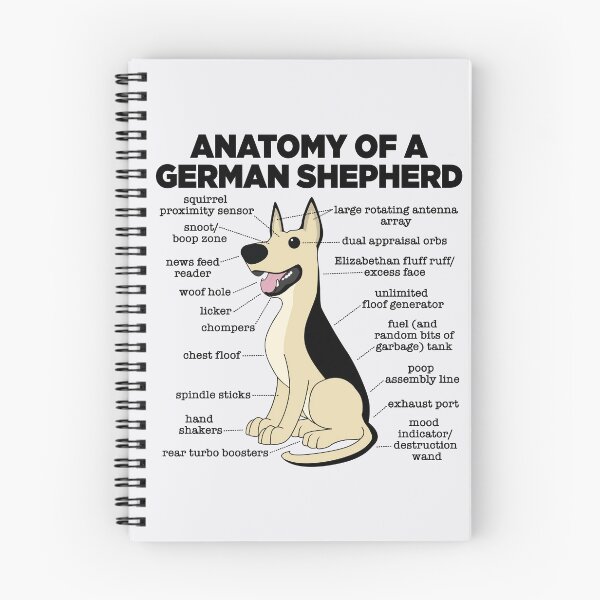 Item preview, Anatomy of a German Shepherd designed and sold by mstiv.