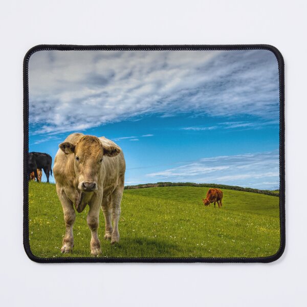 Item preview, The Cream of Cornwall designed and sold by Viv Thompson Photography .