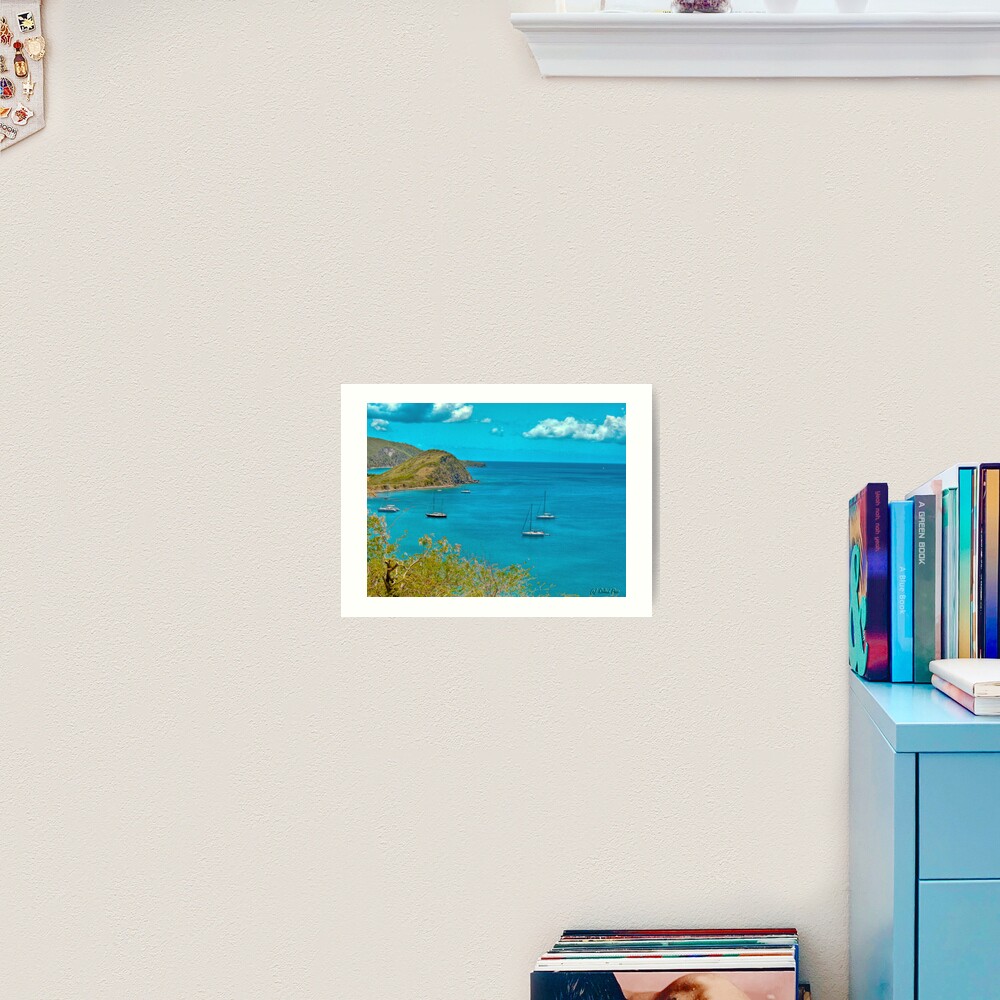 White House Bay Art Print