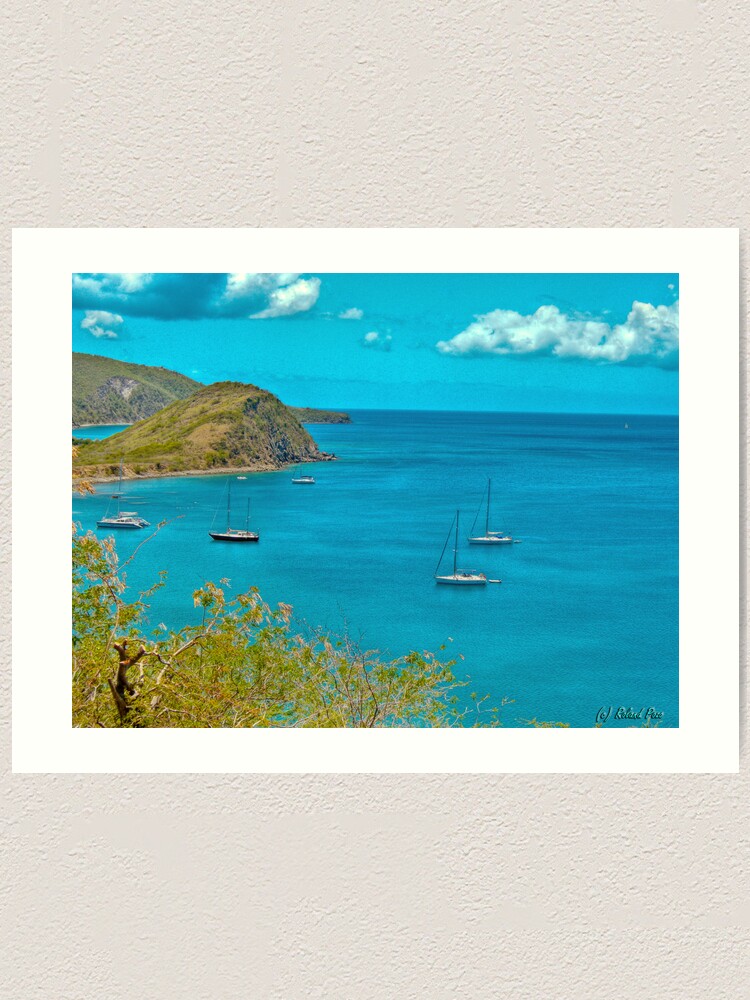 Alternate view of White House Bay Art Print