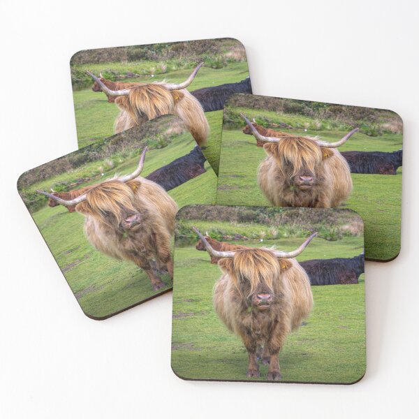 Item preview, No Bull designed and sold by Viv Thompson Photography .