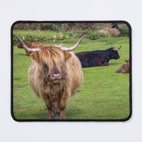 Item preview, No Bull designed and sold by Viv Thompson Photography .