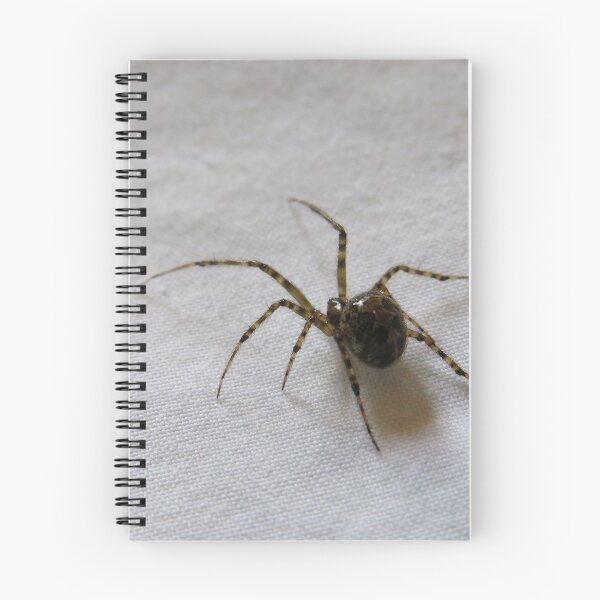 Item preview, Real cute spider, spider print for gag gifts designed and sold by JustAboutNature.