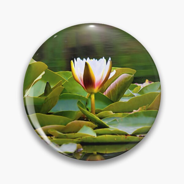 Item preview, Reflected Waterlily designed and sold by Violaman.