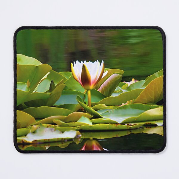 Item preview, Reflected Waterlily designed and sold by Violaman.