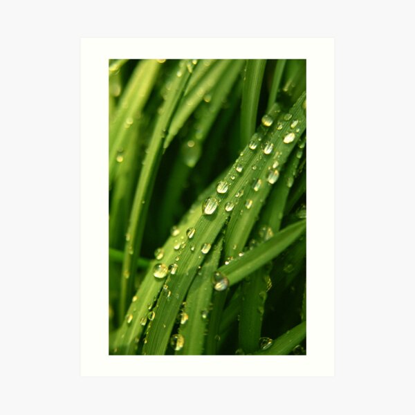 Green waterfall Art Print