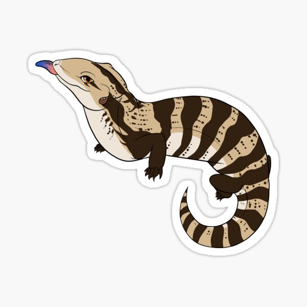 Item preview, Indonesian Blue Tongue Skink designed and sold by TwilightSaint0.