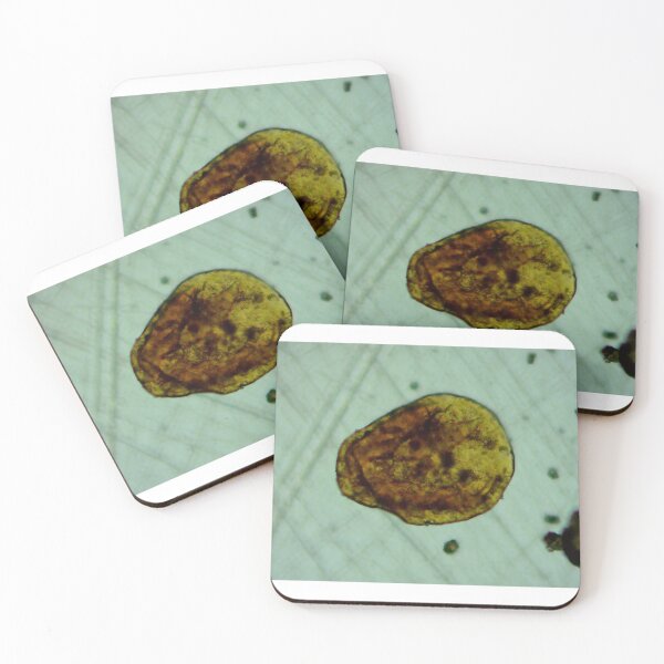 Item preview, Antrim Shale Algae Cyst designed and sold by Pr0teusUnbound.