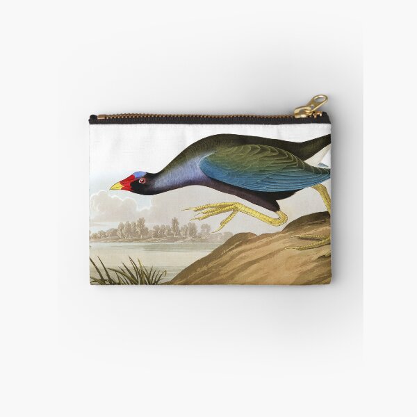 Item preview, Purple Gallinule by John James Audubon designed and sold by TheCurators.