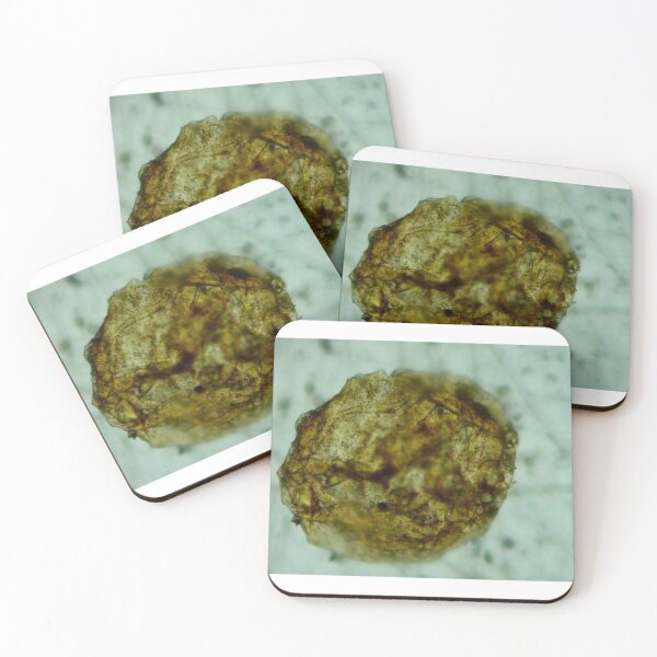 Item preview, Antrim Shale Algae Cyst designed and sold by Pr0teusUnbound.