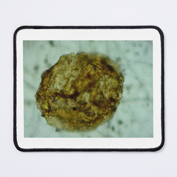 Item preview, Antrim Shale Algae Cyst designed and sold by Pr0teusUnbound.