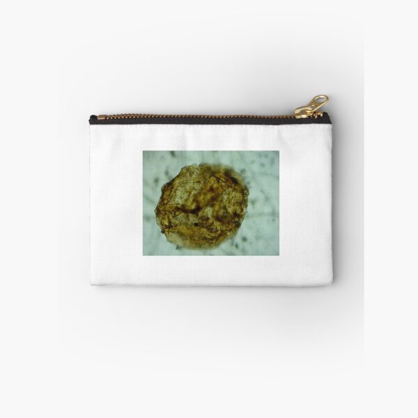 Item preview, Antrim Shale Algae Cyst designed and sold by Pr0teusUnbound.